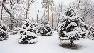 Стало известно, когда в Казахстан придет "настоящая" зима