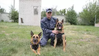 Раскрыли сотни преступлений, нашли тонны наркотиков: как работают полицейские собаки