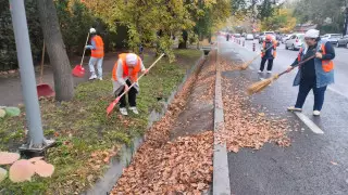 Сколько осадков выпало в Алматы