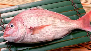 Врач назвала самую полезную рыбу для пожилых людей