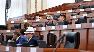 Депутаты Кыргызстана в первом чтении приняли закон об "иноагентах"