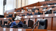 Депутаты Кыргызстана в первом чтении приняли закон об "иноагентах"