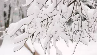 Казахстанцев предупредили о снеге и гололеде в выходные