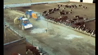 От Талдысайских степей до мировых рынков: история маленького фермерского хозяйства