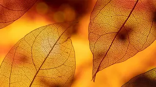 Снег, гололед и тепло до 20 градусов: погода в Казахстане на 31 октября