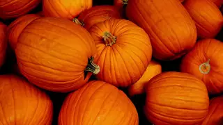 Кого ждет денежный поток, а кому нужно экономить. Гороскоп на 31 октября