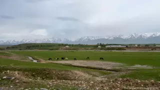 "Надо реагировать на жалобы". Что мешает развитию туризма в Казахстане