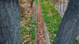 Алматыда арық жапыраққа толып қалды: қала көшелеріндегі тазалыққа кім жауапты?