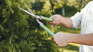 Мужчина, ставший миллиардером, пожаловался на то, что его путают с садовником