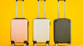 Что происходит с забытыми чемоданами, ответили в аэропорту Астаны