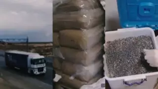 Спецоперация МВД: ликвидирован крупный канал поставки маковой соломы