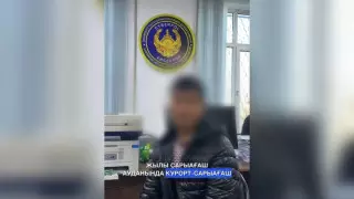 Обманувшего десятерых казахстанцев онлайн-афериста задержали в Шымкенте