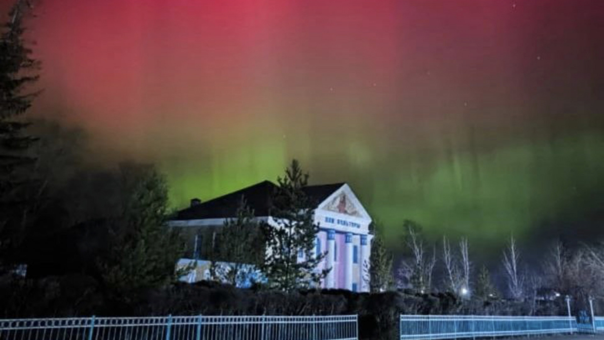 Видео из казахстана телеграмм фото 30