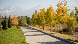 Температурный рекорд 31-летней давности побит в Казахстане