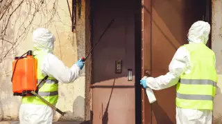 Борьба с клопами: как избежать смертельного отравления