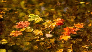 Сильные дожди и морозы до 12 градусов: погода в Казахстане на 9 ноября