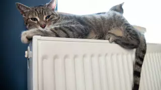 Что делать, если плохо греют батареи