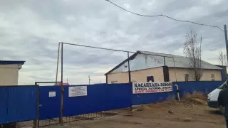 Объявление о продаже мяса сайги переполошило актюбинцев