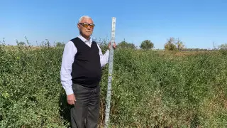 Атырау облысындағы жем-шөп тапшылығы проблемасы қалай шешіліп жүр? Профессор Болат Мұхамбетов әңгімелеп берді