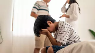 Отдельную статью "Насилие в семье" предложили ввести в Уголовной кодекс Казахстана