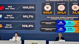 Инвестпроекты на 10 миллиардов тенге реализуются в АПК Карагандинской области