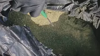 Спецоперации МВД: задержаны 160 преступников, ликвидированы 2 нарколаборатории