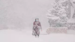 Циклон принесет снегопад и метели в Казахстан