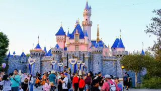 Страшное происшествие в Диснейленде: есть пострадавшие