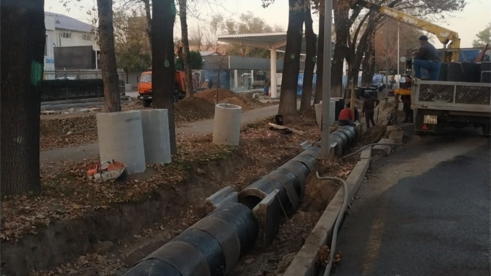 Деревья вырубили для расширения территории АЗС в Алматы