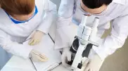 500 стажировок за рубеж. Кто может претендовать?