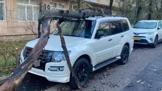 Алматинцев предупредили о надвигающейся непогоде