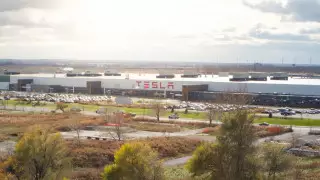 Сотрудники завода Tesla пожаловались на нашествие клопов и массовое отравление