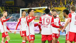 Звездный теннисист выкупил место в самолете "Баварии"