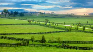На сообщение о "передаче земель иностранцам" ответили в акимате ЗКО