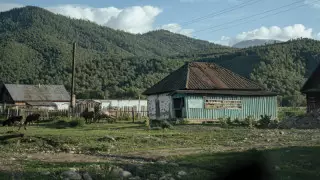 "Большие перспективы". Депутат о развитии сельского хозяйства в Казахстане