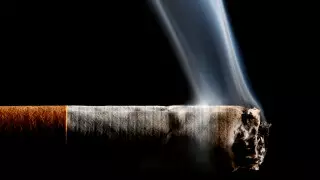 Гражданина КНР оштрафовали за брошенный окурок в Алматинской области