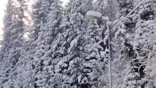 Ограничение в 40 километров в час: где в Алматы установили новые "Сергеки"