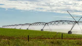 Ощущаем острую нехватку: названа главная проблема в Туркестанской области