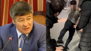 Дело сына Даулета Турлыханова: потерпевшие попросили изменить наказание