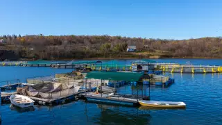 ВКО экспортирует рыбную продукцию в Европу