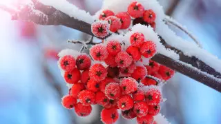 Туман, гололед, ветер: погода в Казахстане на 5 декабря