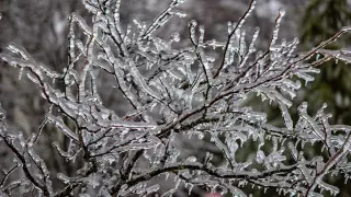 Метели и морозы с дальнейшим понижением: погода в Казахстане на 6 декабря