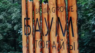 "Только пеньки и лужи": алматинцы обеспокоены состоянием рощи Баума