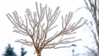 Морозы до 41 градуса и метели: погода в Казахстане на 8 декабря