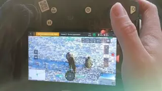 Овец искали с помощью дронов в Актюбинской области