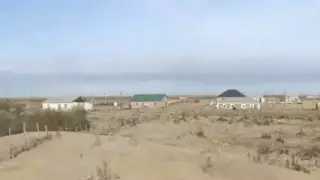 Масштабную высадку саксаула против "кочующих" барханов начали в Атырауской области