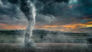 Мощный ураган повредил авто и вырвал деревья с корнями в Ирландии