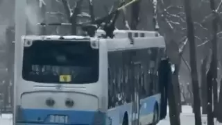 Троллейбус слетел с дороги в Алматы: в сети появилось видео