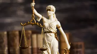 “Храпели и засыпали во время процесса“. Депутат пожаловался премьеру на судей