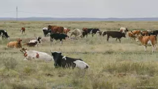 В собственность государства вернули 10 миллионов гектаров сельхозземель